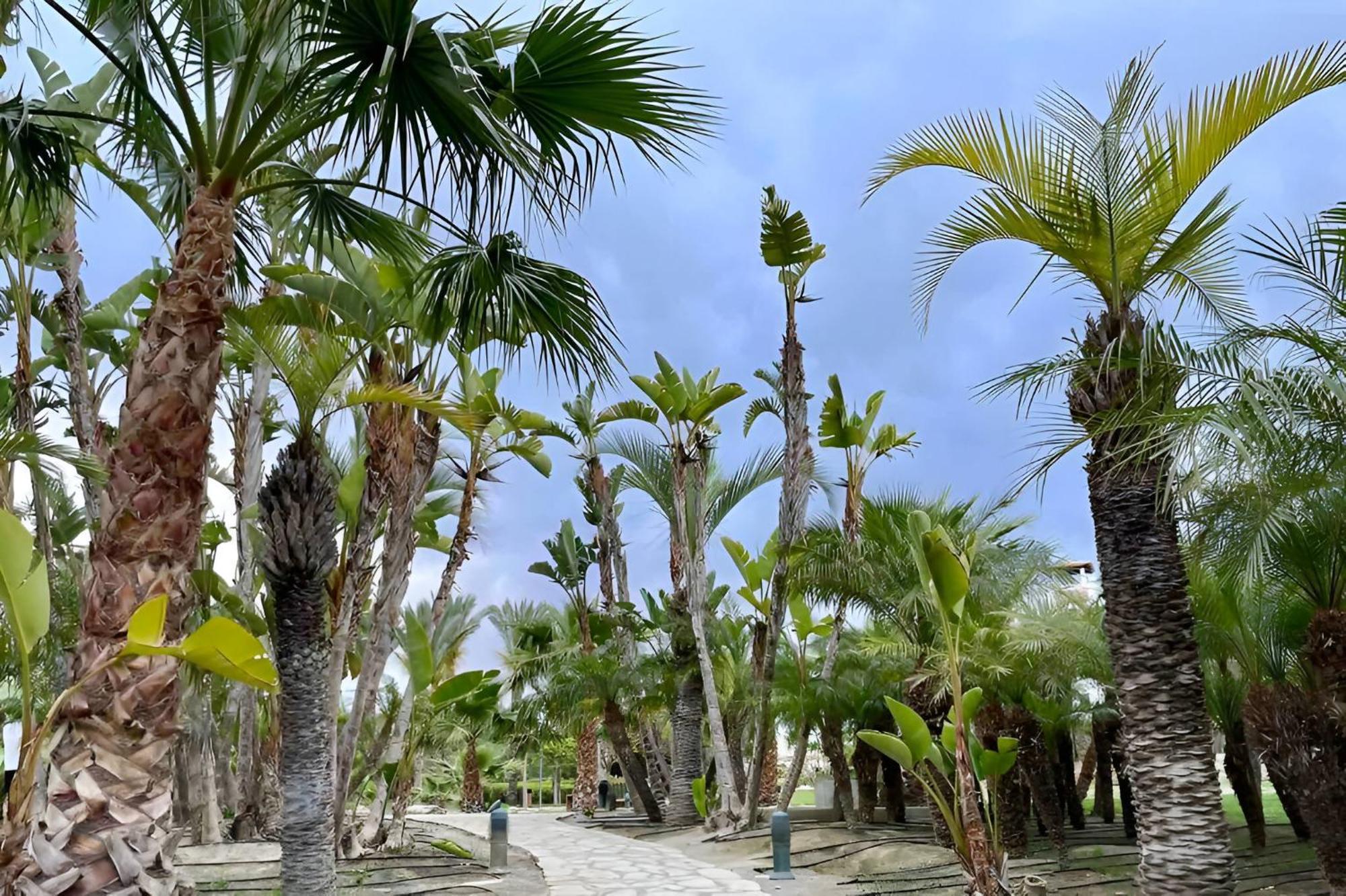 Hestia Vera Salinas Tu Hogar Para Desconectar Playas de Vera Bagian luar foto